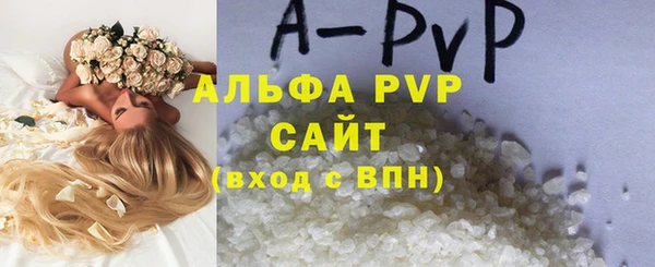 СК Аркадак
