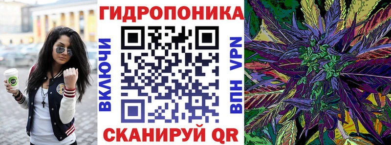 Конопля сатива  Купить  Кашира 